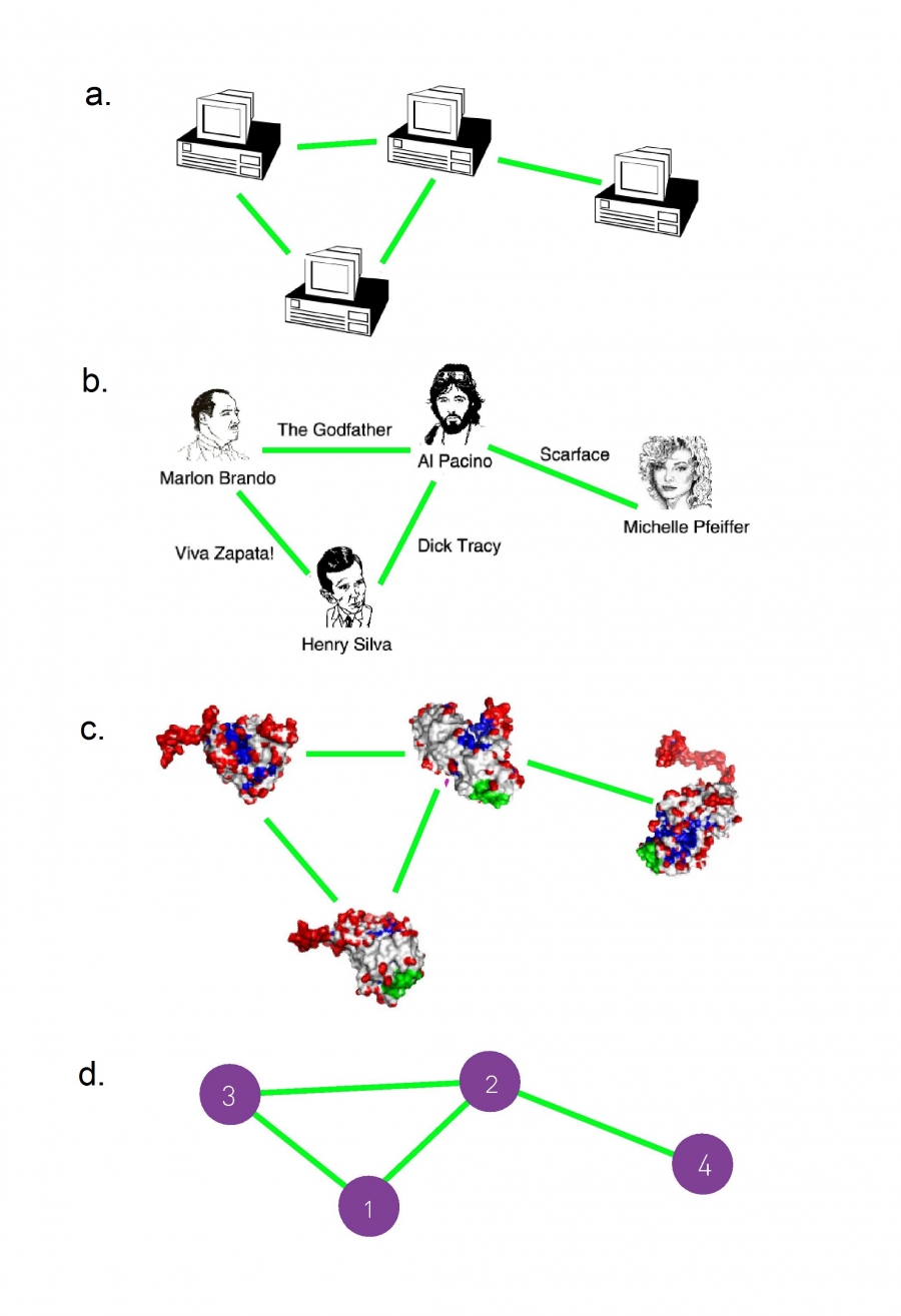 example_networks